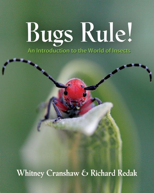 Produktbild: Bugs Rule!