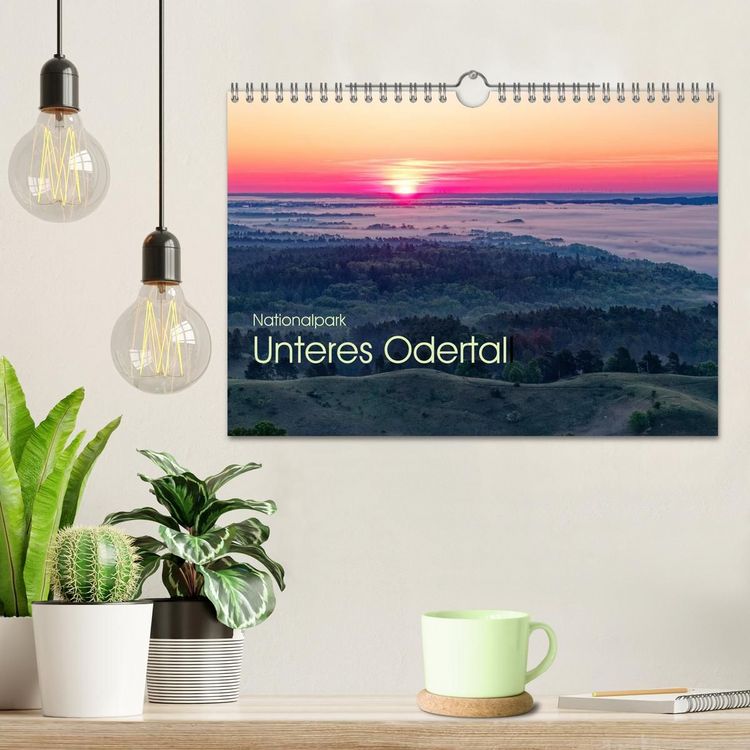 Produktbild: Nationalpark Unteres Odertal (Wandkalender 2027 DIN A4 quer), CALVENDO Monatskalender
