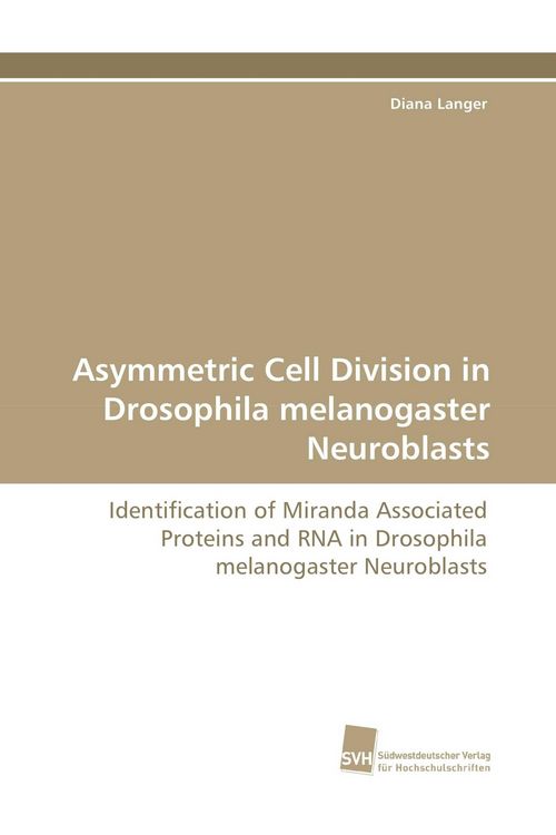 Produktbild: Asymmetric Cell Division in Drosophila melanogaster Neuroblasts