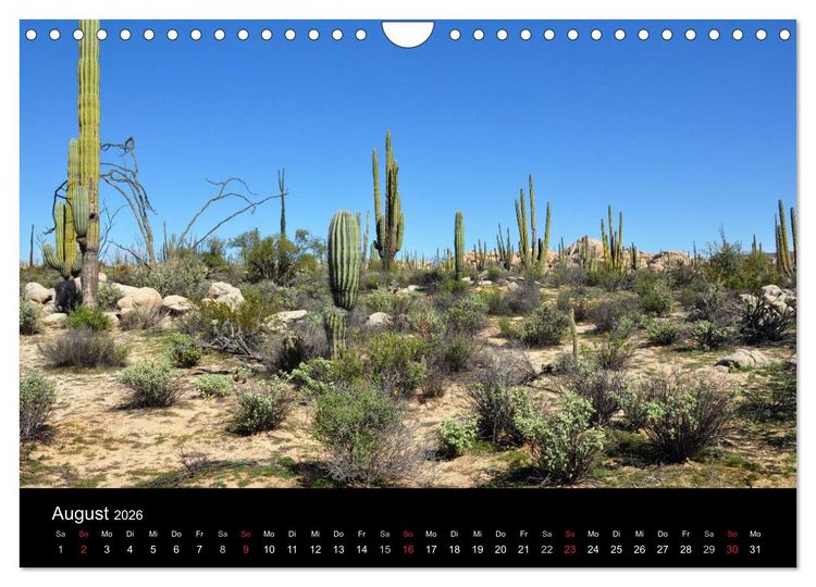 Produktbild: Baja California - Impressionen der mexikanischen Halbinsel (Wandkalender 2026 DIN A4 quer), CALVENDO Monatskalender