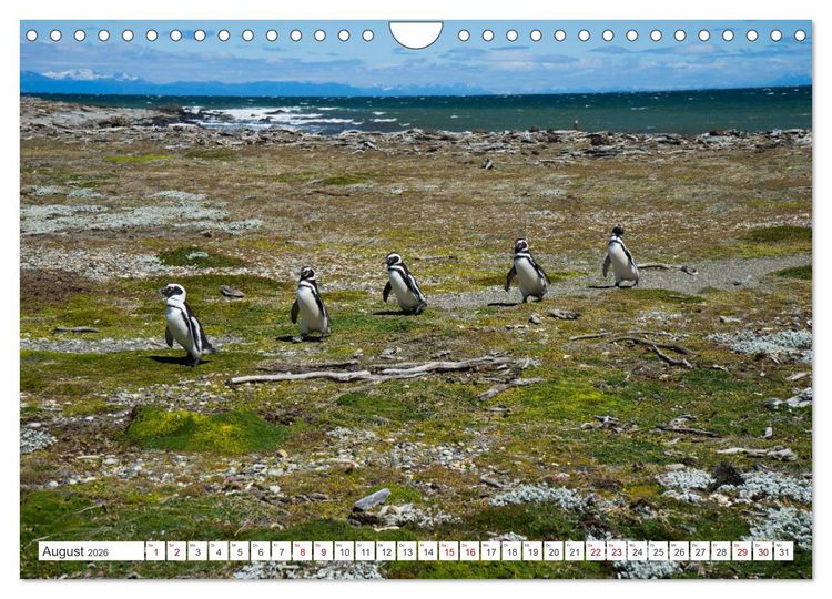 Produktbild: S&Uuml;DAMERIKA Eine Bilderreise durch Argentinien, Bolivien, Peru und Chile 2026 (Wandkalender 2026 DIN A4 quer), CALVENDO Monatskalender