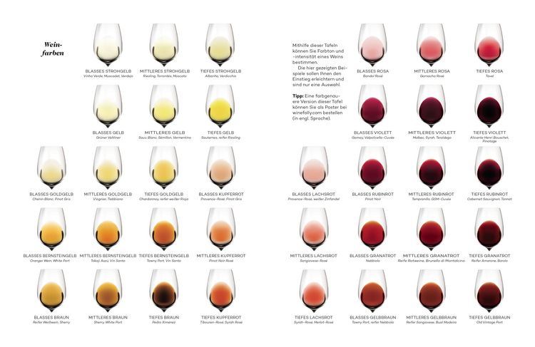 Produktbild: Der Master-Wein-Guide