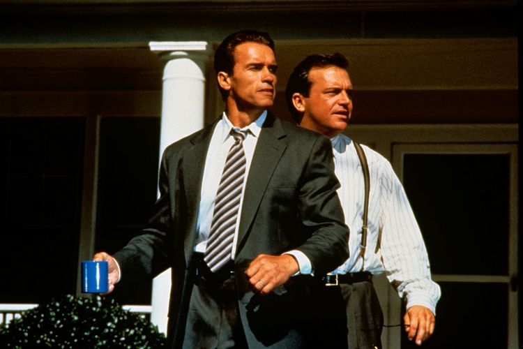 Produktbild: True Lies