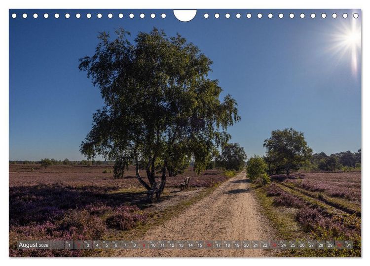 Produktbild: Die L&uuml;neburger Heide - In voller Bl&uuml;te (Wandkalender 2026 DIN A4 quer), CALVENDO Monatskalender