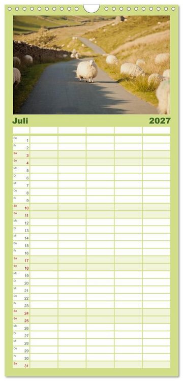 Produktbild: Familienplaner 2027 - Schafe - Weich und wollig mit 5 Spalten (Wandkalender, 21 x 45 cm) CALVENDO