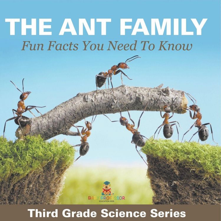 Produktbild: The Ant Family - Fun Facts You Need To Know