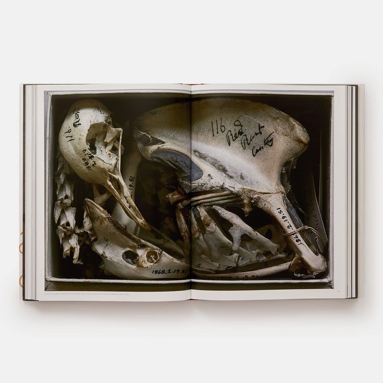 Produktbild: Annie Leibovitz