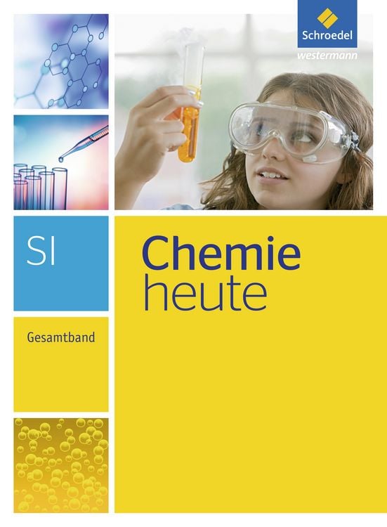 Produktbild: Chemie heute SI - Ausgabe 2013