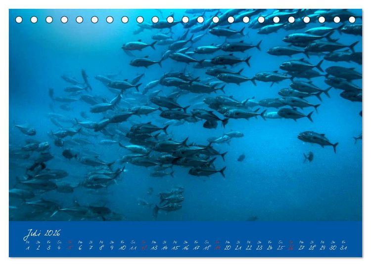 Produktbild: Meer sehen - Abenteuer Tauchen (Tischkalender 2026 DIN A5 quer), CALVENDO Monatskalender