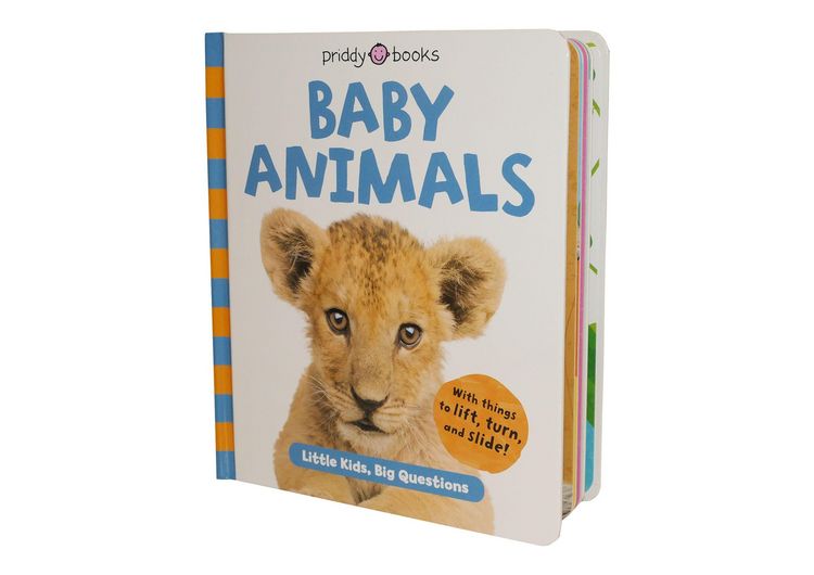 Produktbild: Baby Animals (Little Kids, Big Questions)