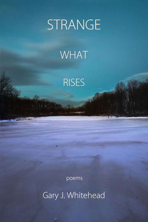 Produktbild: Strange What Rises