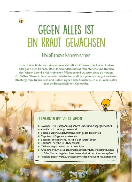 Produktbild: Die Kita-Umwelt-Retter: Wald, Wiese & Insekten