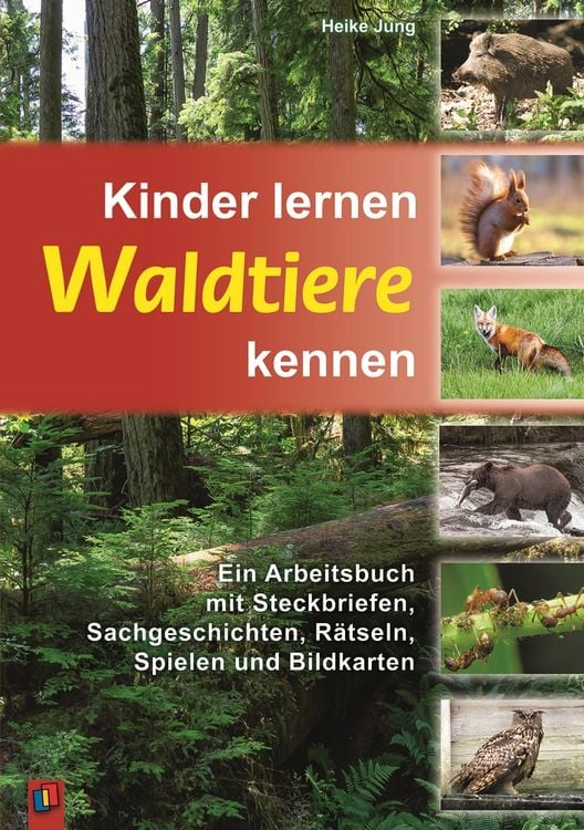 Produktbild: Kinder lernen Waldtiere kennen