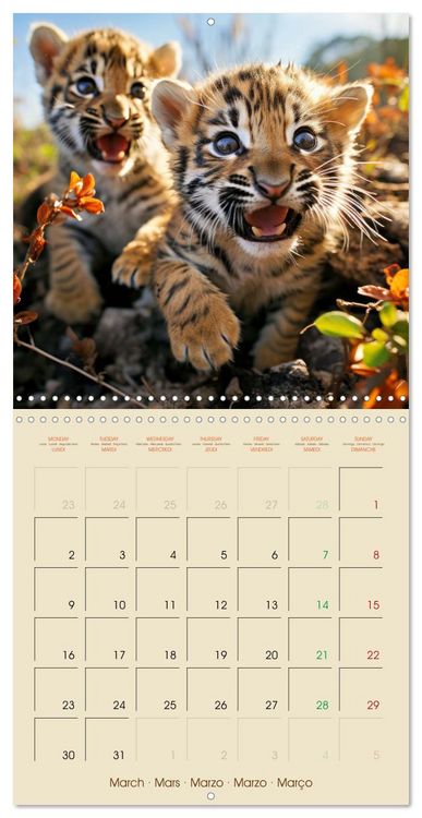 Produktbild: Let's go on Safari - Animal babies in Africa (Wall Calendar 2026 12 &times; 12 Inch) CALVENDO 12 Month Wall Calendar