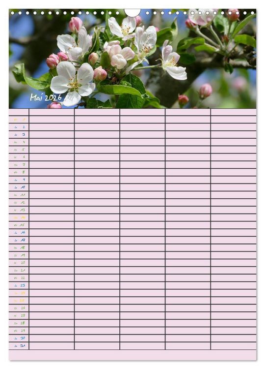 Produktbild: Kleine Natursch&ouml;nheiten (Wandkalender 2026 DIN A3 hoch), CALVENDO Monatskalender
