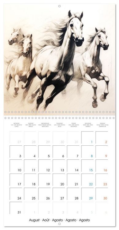Produktbild: &Eacute;l&eacute;gance &eacute;quine (Calendrier mural carr&eacute; 2026 30x30 cm) Calendrier double avec une page pour vos prises de notes