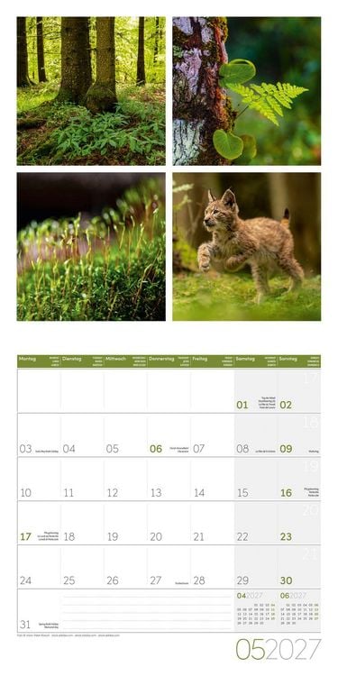 Produktbild: Colours of Nature Kalender 2027 - 30x30 - Art12