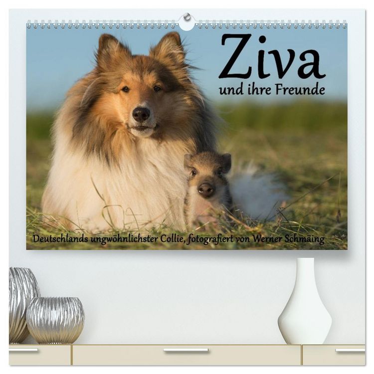 Produktbild: Ziva und ihre Freunde (hochwertiger Premium Wandkalender 2026 DIN A2 quer), Kunstdruck in Hochglanz