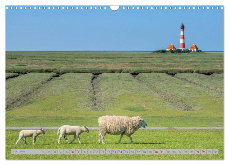 Produktbild: Leuchtt&uuml;rme - W&auml;chter der K&uuml;sten (Wandkalender 2026 DIN A3 quer), CALVENDO Monatskalender
