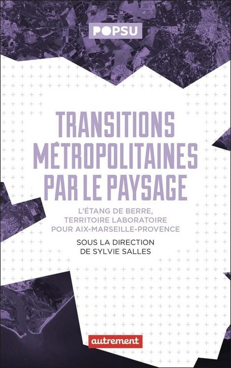 Produktbild: Transitions m&eacute;tropolitaines par le paysage
