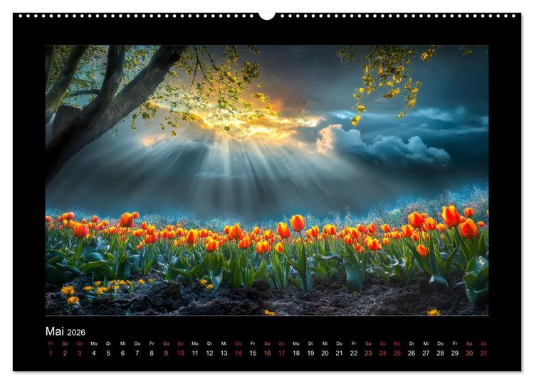 Produktbild: Im Wechselspiel der Jahreszeiten (Wandkalender 2026 DIN A2 quer), CALVENDO Monatskalender