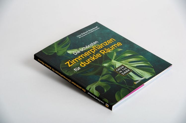 compo bio bodenaktivator test COMPO EXPERT TerraPlus® Bodenaktivator – Düngerprofi24 main image 1
