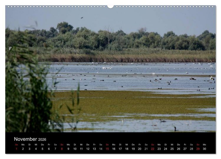 Produktbild: Donaudelta (Wandkalender 2026 DIN A2 quer), CALVENDO Monatskalender
