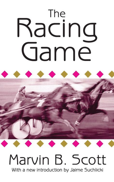 Produktbild: The Racing Game