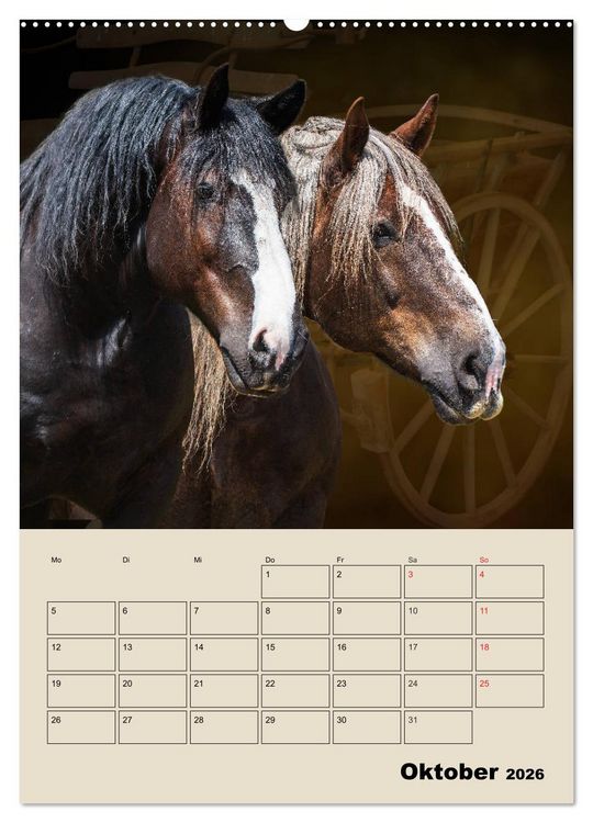 Produktbild: Pferdetr&auml;umereien - Traumbilder von Traumpferden (hochwertiger Premium Wandkalender 2026 DIN A2 hoch), Kunstdruck in Hochglanz
