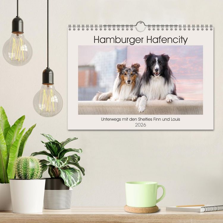 Produktbild: Hamburger Hafencity - Unterwegs mit den Shelties Finn und Louis (Wandkalender 2026 DIN A4 quer), CALVENDO Monatskalender