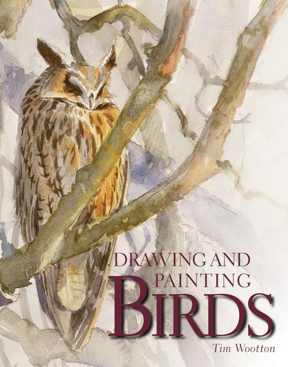 Produktbild: Drawing and Painting Birds