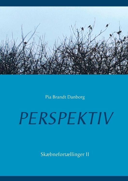 Produktbild: Perspektiv