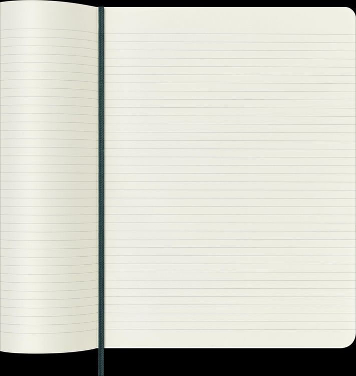 Produktbild: Moleskine Vegea Boa Notizbuch, XL, liniert, weicher Einband, gr&uuml;n, in Box