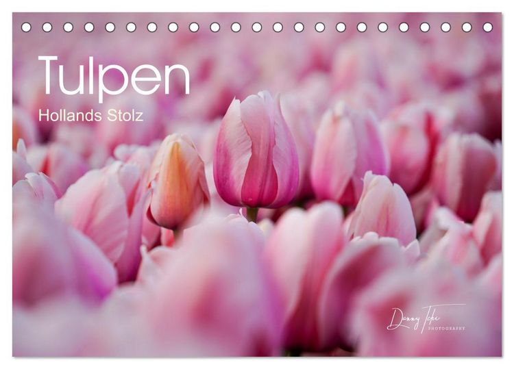 Produktbild: Tulpen - Hollands Stolz (Tischkalender 2026 DIN A5 quer), CALVENDO Monatskalender