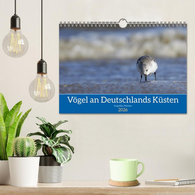 Produktbild: V&ouml;gel an Deutschlands K&uuml;sten (Wandkalender 2026 DIN A4 quer), CALVENDO Monatskalender