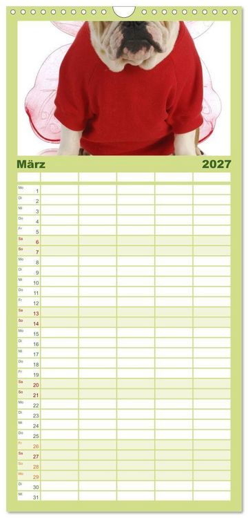 Produktbild: Familienplaner 2027 - English Bulldog XXL Models mit 5 Spalten (Wandkalender, 21 x 45 cm) CALVENDO