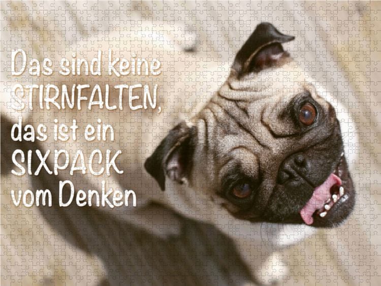 Produktbild: CALVENDO Puzzle Das sind keine Stirnfalten, das ist ein Sixpack vom Denken. | 1000 Teile Lege-Gr&ouml;&szlig;e 64x48cm Foto-Puzzle f&uuml;r gl&uuml;ckliche Stunden