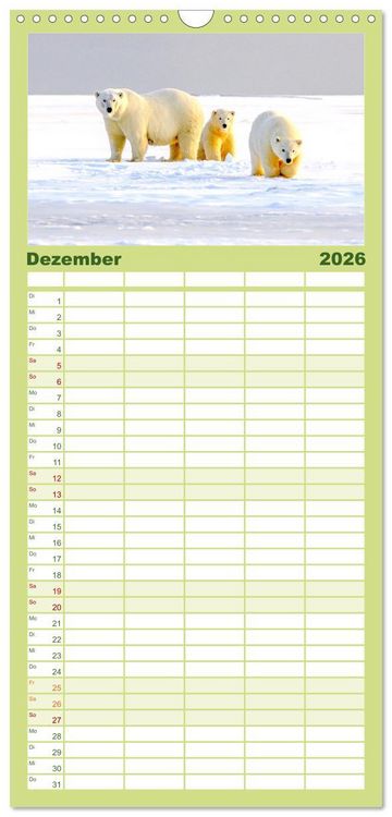 Produktbild: Familienplaner 2026 - B&auml;ren - Pandas, Grizzlyb&auml;ren und Co. mit 5 Spalten (Wandkalender, 21 x 45 cm) CALVENDO