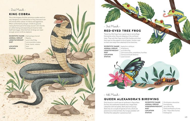 Produktbild: An Animal a Day