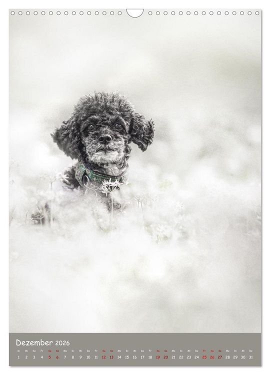 Produktbild: Flora Canidae - der Hunde-Bl&uuml;hpflanzen-Kalender (Wandkalender 2026 DIN A3 hoch), CALVENDO Monatskalender