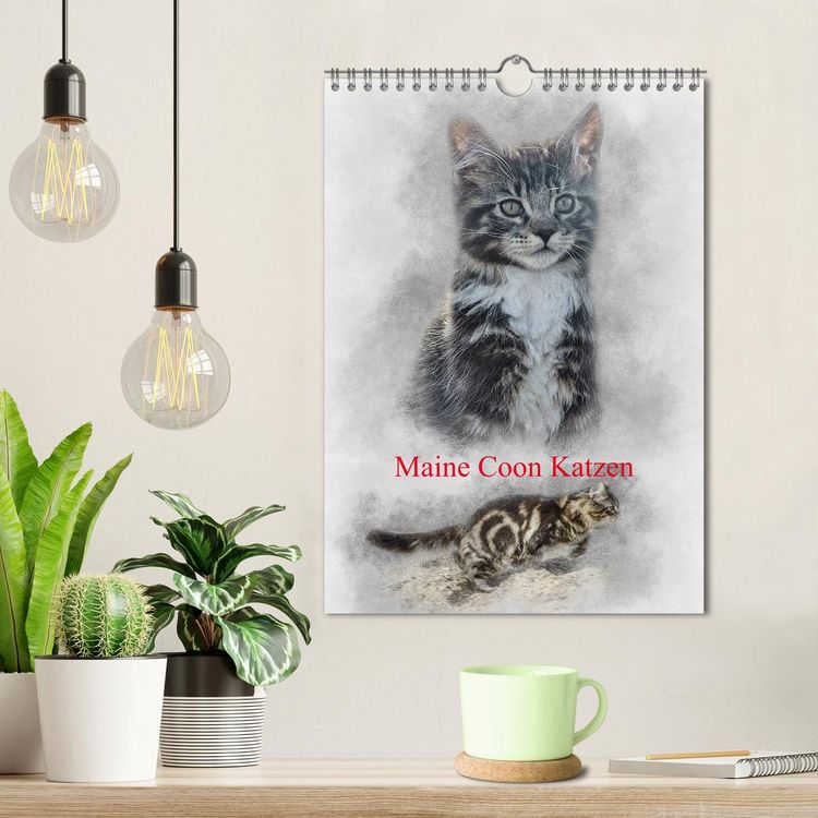 Produktbild: Maine Coon Katzen (Wandkalender 2026 DIN A4 hoch), CALVENDO Monatskalender