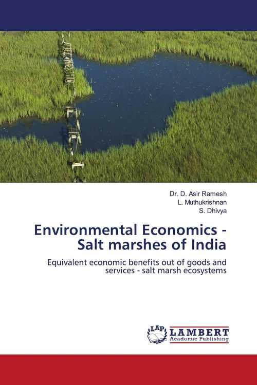 Produktbild: Environmental Economics -Salt marshes of India