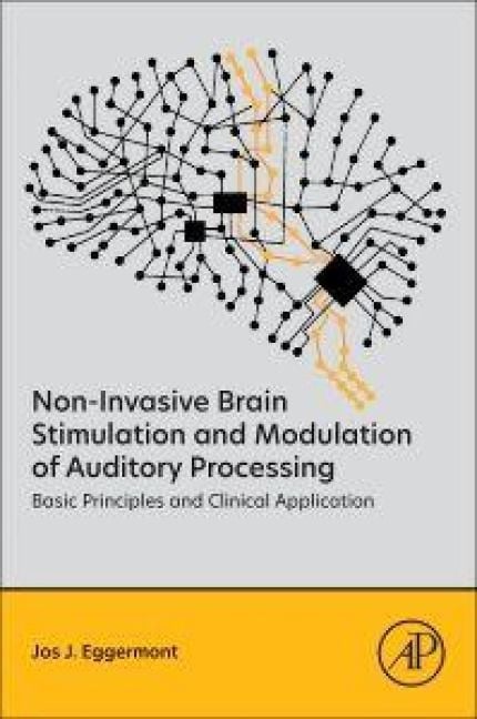 Produktbild: Non-Invasive Brain Stimulation and Modulation of Auditory Processing