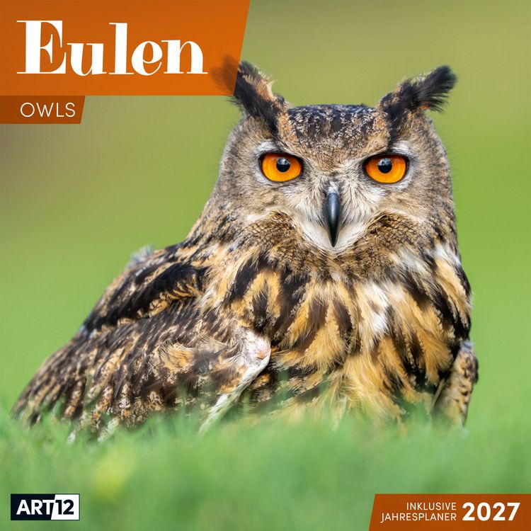 Produktbild: Eulen Kalender 2027 - 30x30 - Art12
