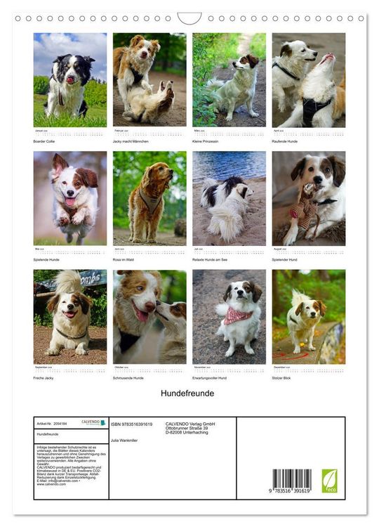 Produktbild: Hundefreunde (Wandkalender 2026 DIN A3 hoch), CALVENDO Monatskalender