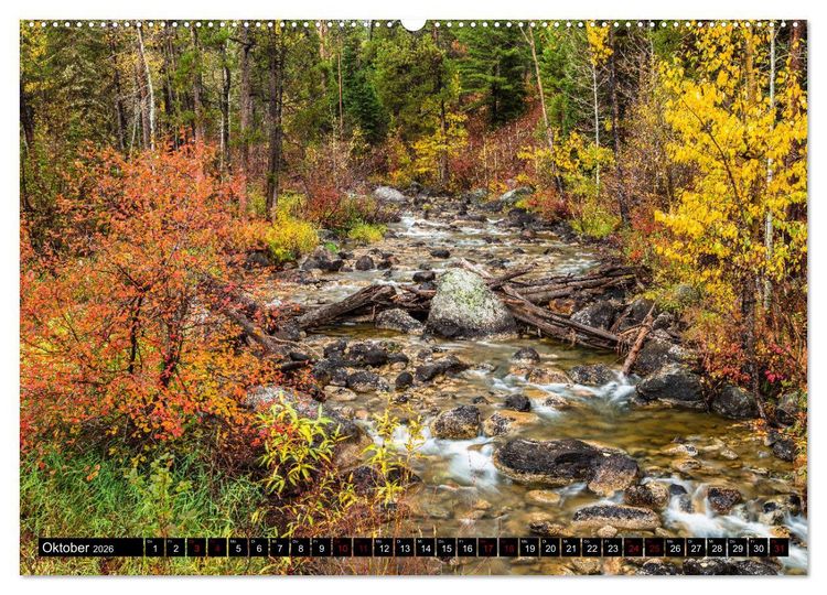 Produktbild: Waldwasser (hochwertiger Premium Wandkalender 2026 DIN A2 quer), Kunstdruck in Hochglanz