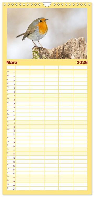 Produktbild: Familienplaner 2026 - Geliebtes Rotkehlchen mit 5 Spalten (Wandkalender, 21 x 45 cm) CALVENDO