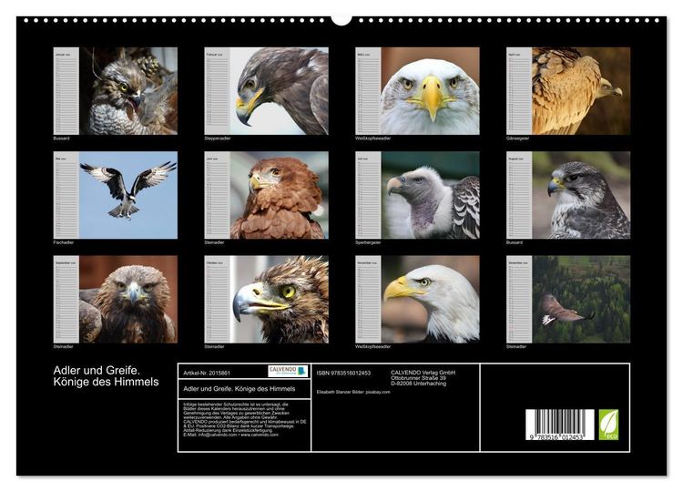 Produktbild: Adler und Greife. K&ouml;nige des Himmels (hochwertiger Premium Wandkalender 2026 DIN A2 quer), Kunstdruck in Hochglanz