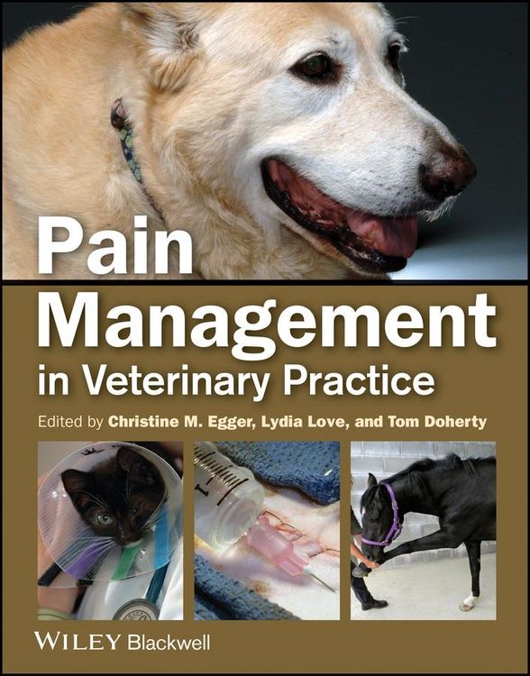 Produktbild: Pain Management in Veterinary Practice