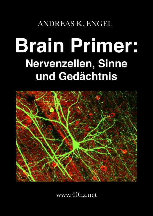 Produktbild: Brain Primer: Nervenzellen, Sinne und Ged&auml;chtnis